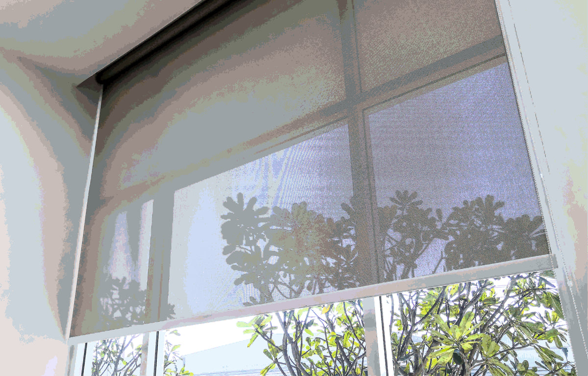Roller Blinds by Glamoray