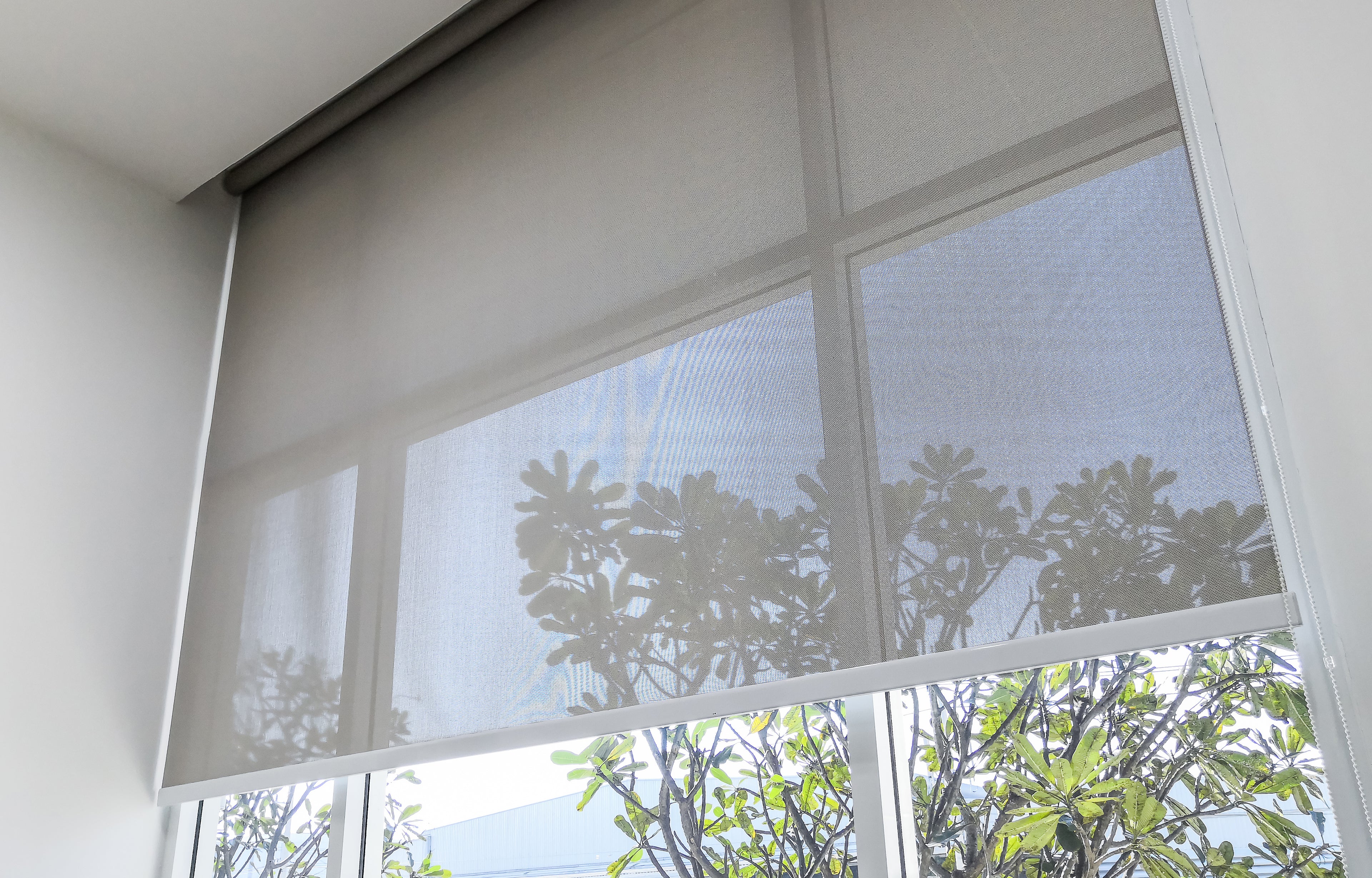Roller Blinds