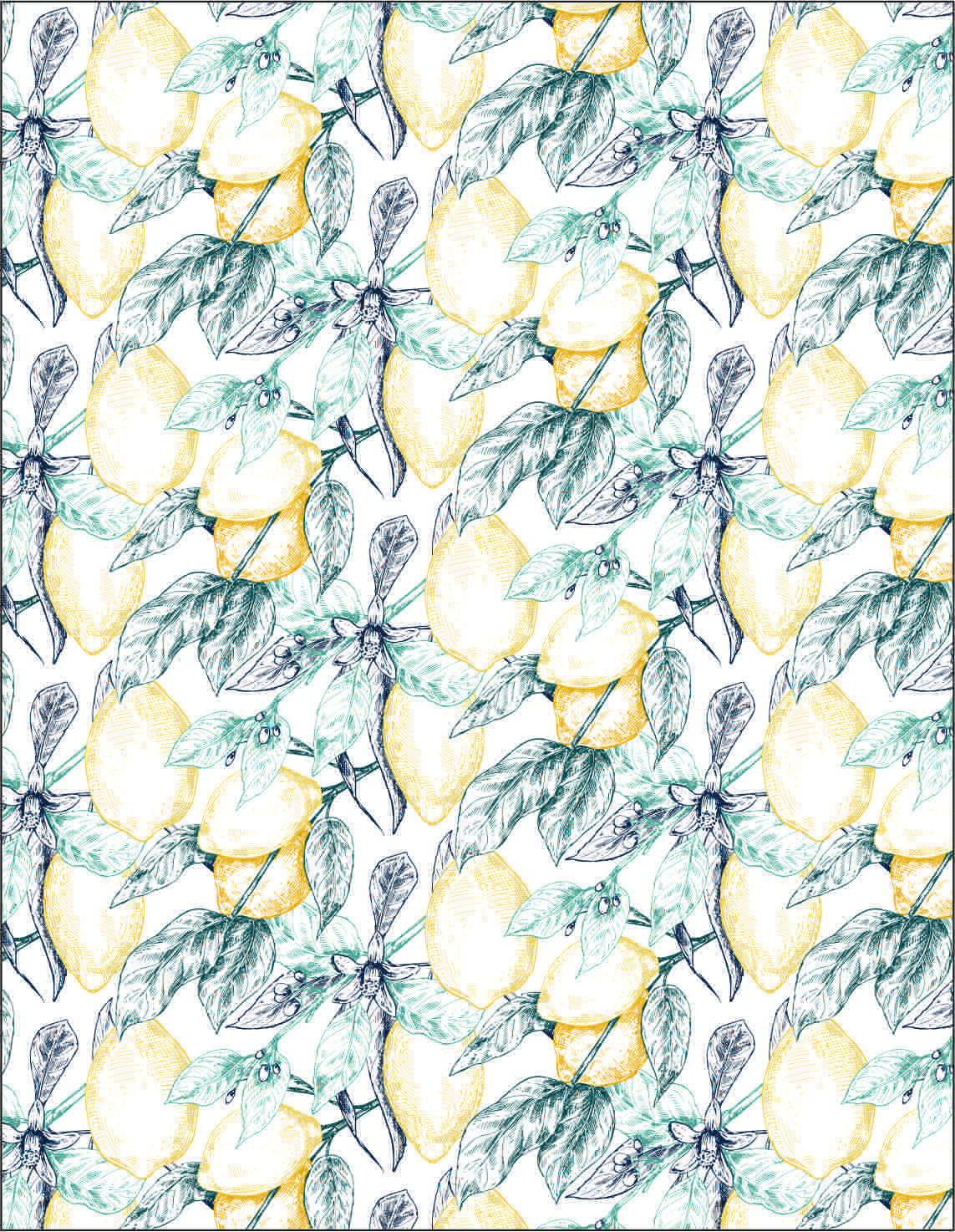 Roller Blinds Printed Desigh 048