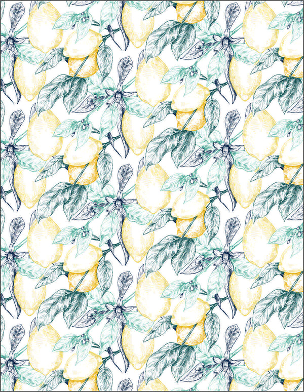 Roller Blinds Printed Desigh 048