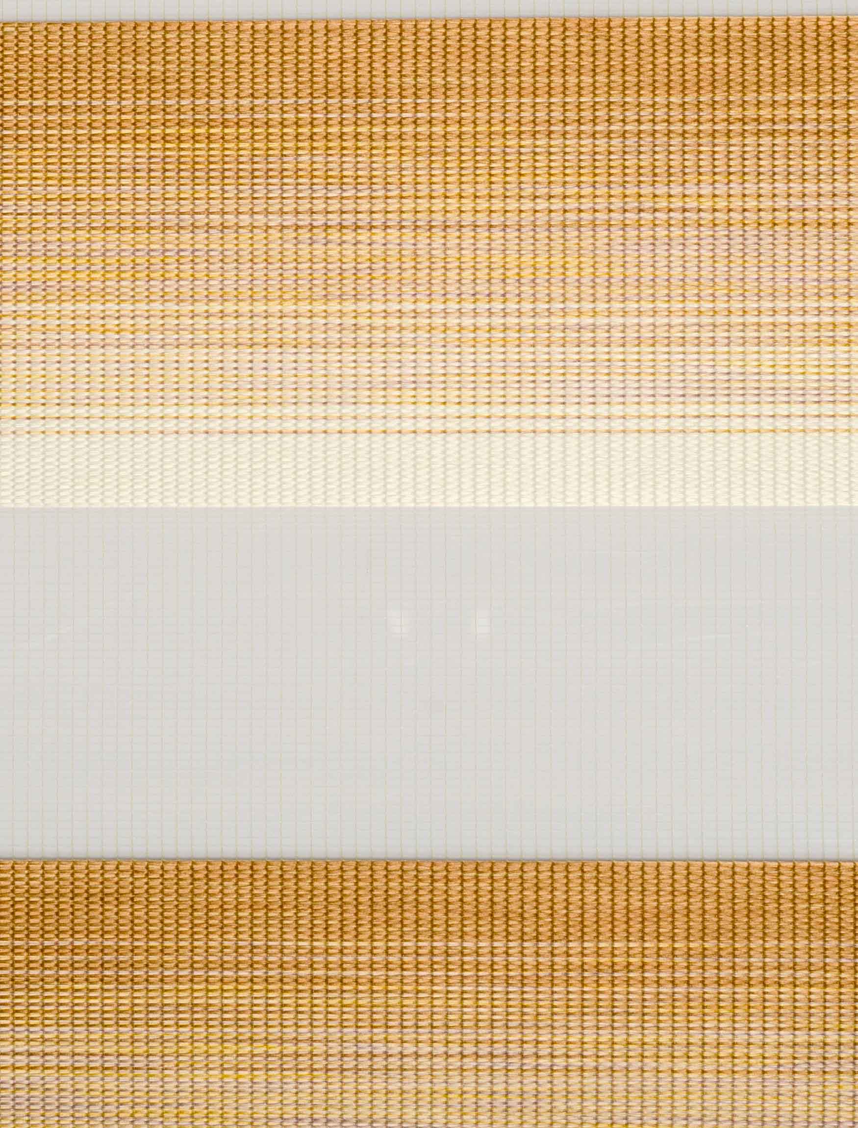 Zebra Blinds Paro Gold