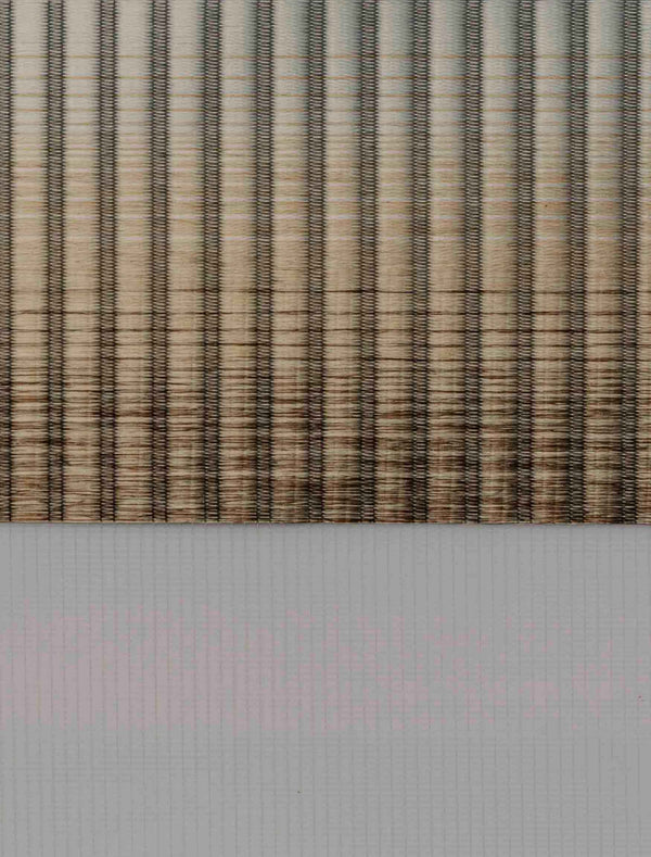 Zebra Blinds Mohican Ivory